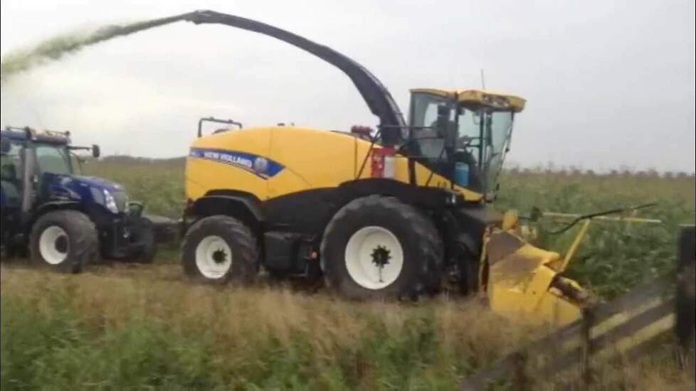 New Holland FR700 loonbedrijf Poland - Trekkerweb