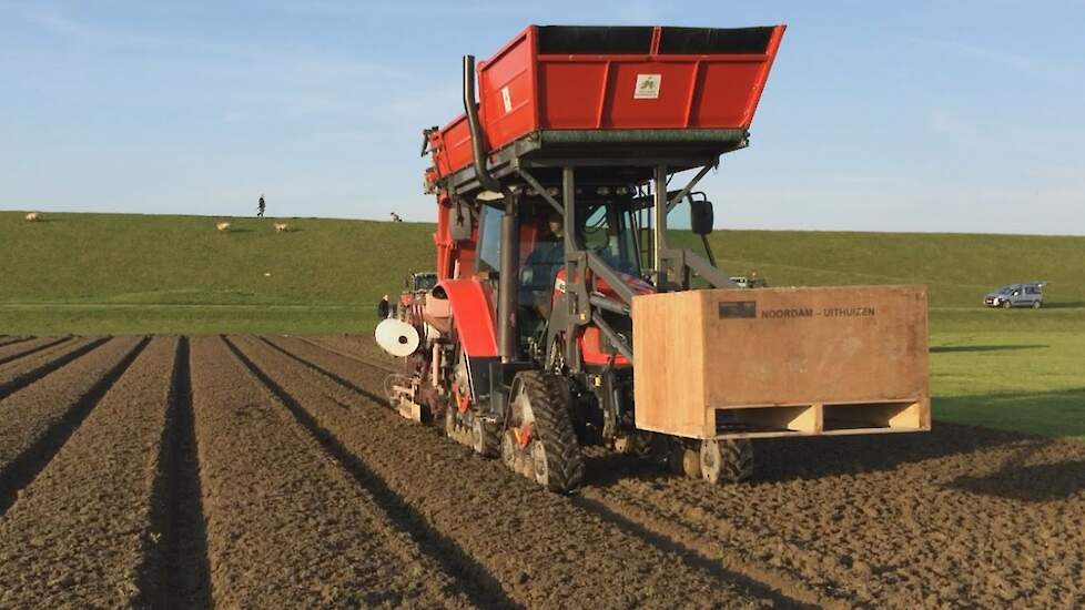 Tulpenbollen planten door Leendert Noordam Uithuizen -Trekkerweb tracks rupsen