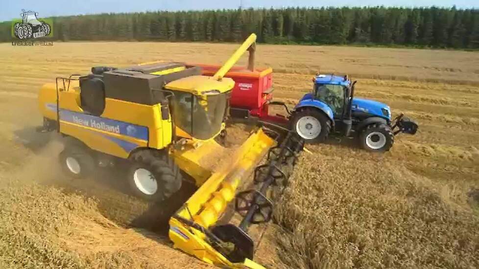 New Holland CSX 7070 stuiven in de zomertarwe Trekkerweb wheat harvest