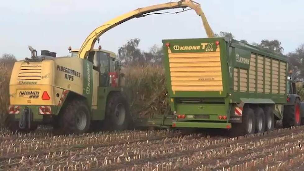 Ploegmakers de Rips in de mais met KRONE TX 560 silagewagen en BiG X 700 Trekkerweb