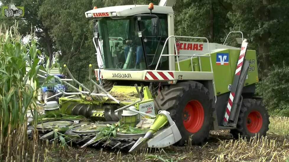 Claas Jaguar 890 maïshakselen bij loonbedrijf Volksbank Trekkerweb