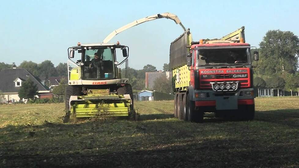 Sojaboon oogst met Claas Jaguar 930 Trekkerweb