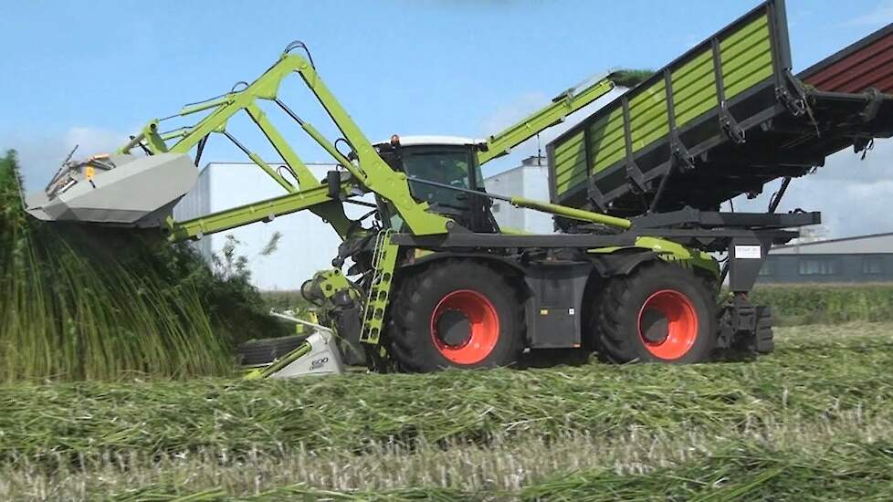 Claas Xerion 4000 DunAgro vezelhennep hakselen maaien Trekkerweb Hanf hennep  nederwiet cannabis