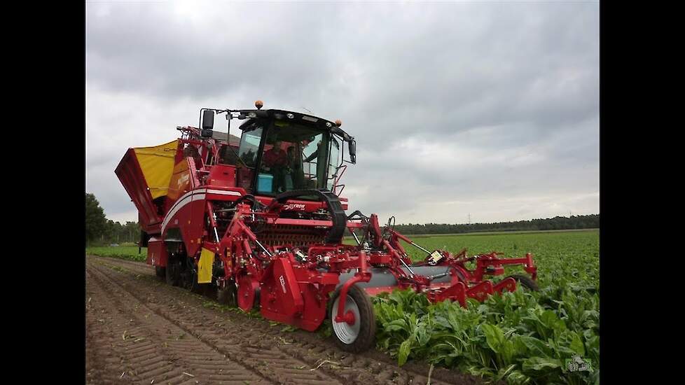 Loonbedrijf van Birgelen met Grimme Maxtron 620 suikerbieten rooien Trekkerweb