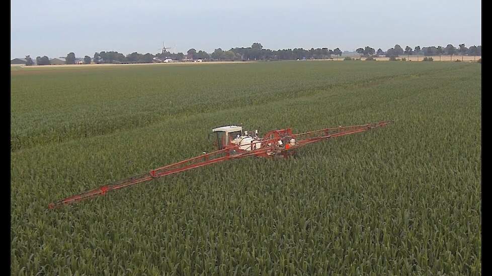 Agrifac 3400 op extra hoge wielen aan het maïspuiten Trekkerweb