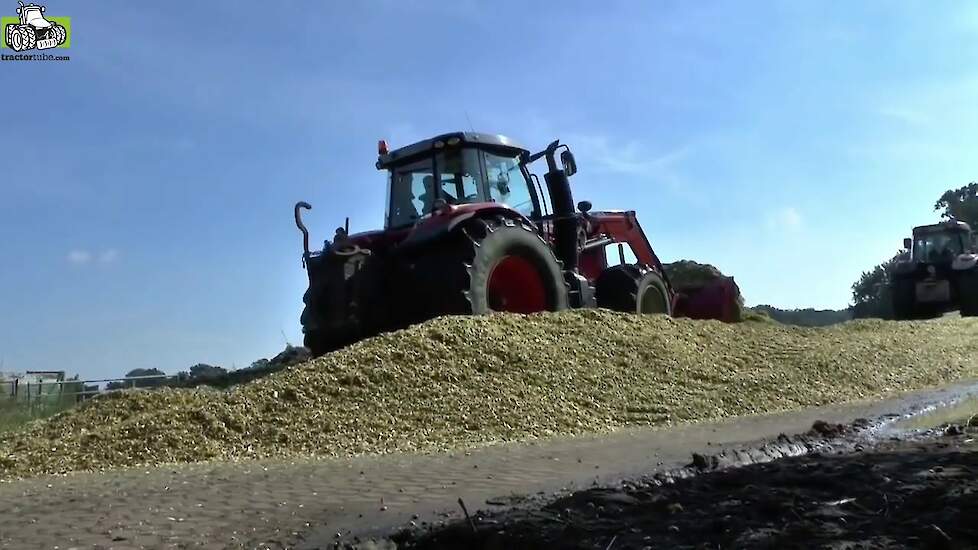 Shredlage Meer melk, gezondere dieren CLAAS Trekkerweb