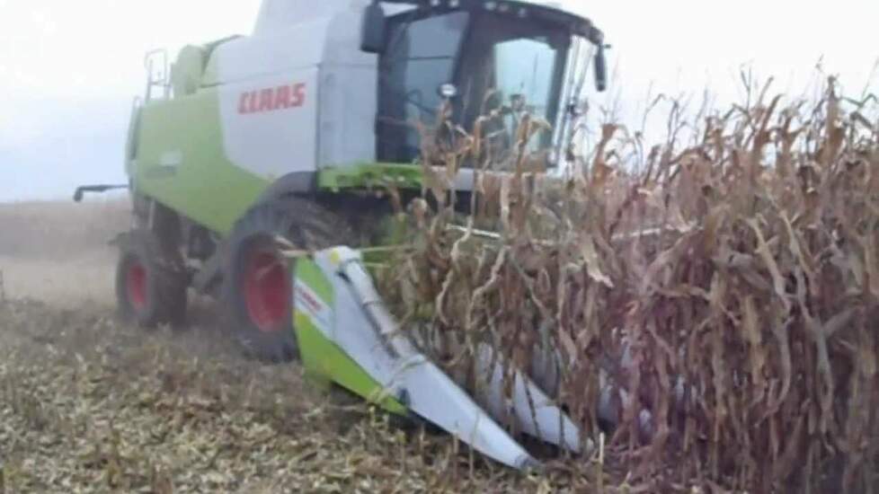 Maisdorsen met Claas Lexion 600 - Trekkerweb.nl