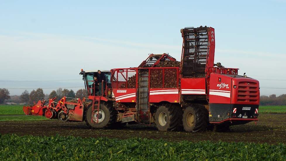 De uiterst wendbare Grimme Rexor 630 Rübenroder beetharvester arracheuse betteraves buraczany