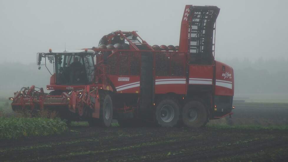 Grimme Rexor 630 bietenrooier tijdens demo in de motregen Trekkerweb