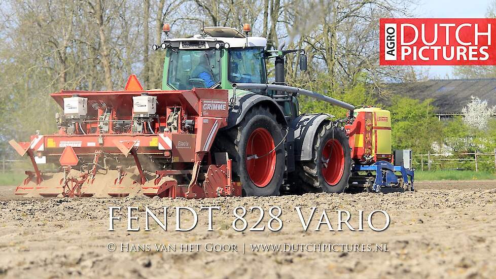 Fendt 828 Vario with Grimme GL 420 Exacta planting potatoes | Aardappels poten