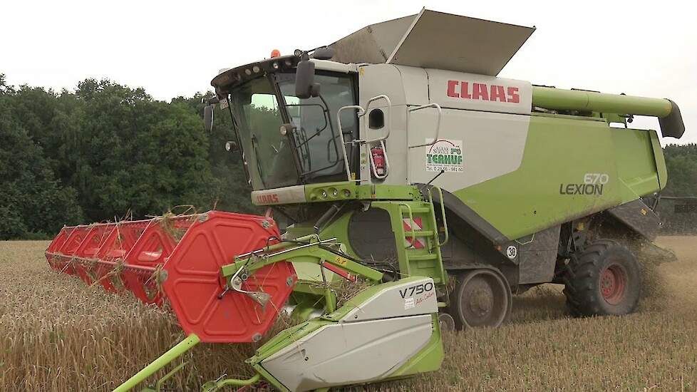 Claas Lexion 670 met Terra Trac en V760 maaibord in de wintertarwe Trekkerweb