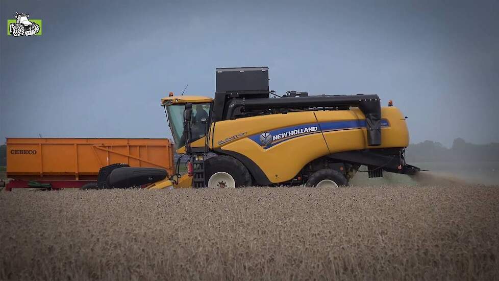 New Holland CX 5080 Elevation in de wintertarwe Trekkerweb