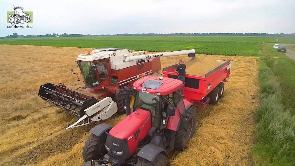 Gerstoogst met Fiatagri Laverda 3890 Trekkerweb harvest combine