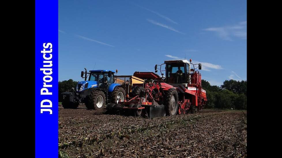 Grimme SF 1700 DLS/Tulpenbollen rooien/Harvesting Tulip bulbs/Hilberts/Beilen/2016