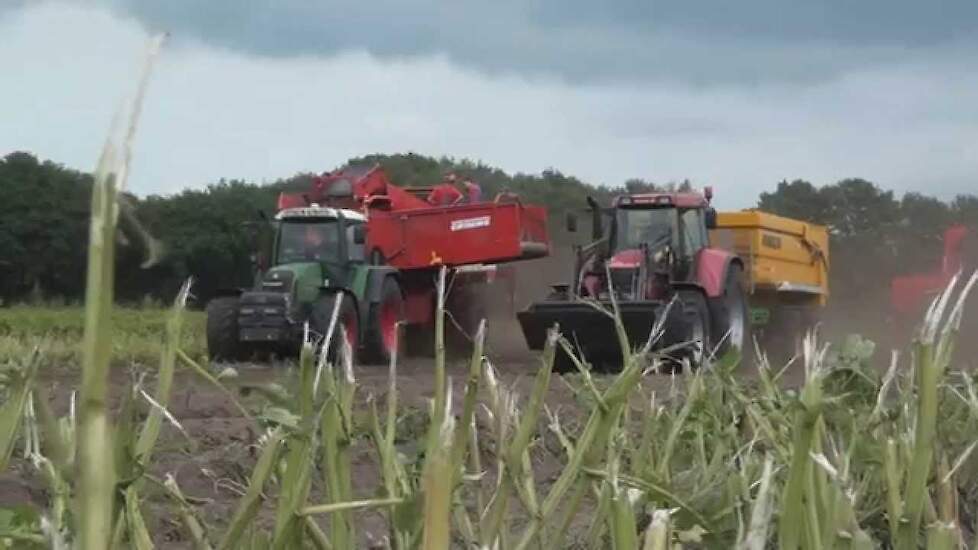 Aardappels rooien en uitleg van de Grimme SE 260 Trekkerweb