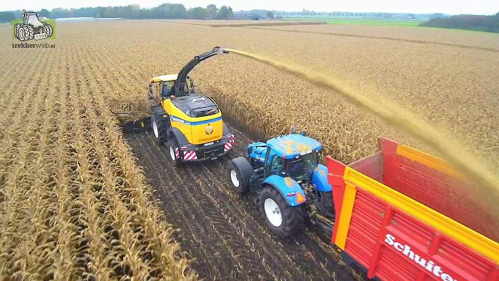 New Holland FR 650 en FR 550 Forage Cruiser in de maïs Trekkerweb silage