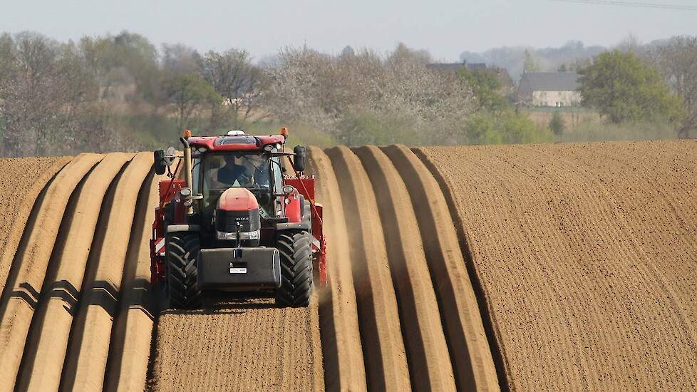 Nieuwe! Case IH Puma CVX 240 met AFS 700 terminal aardappelspoten met Grimme Exacta Trekkerweb