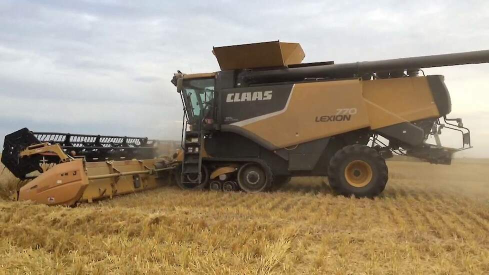 Claas Lexion 770 Versluis grain farms in Saskatchewan tarwe combinen Trekkerweb