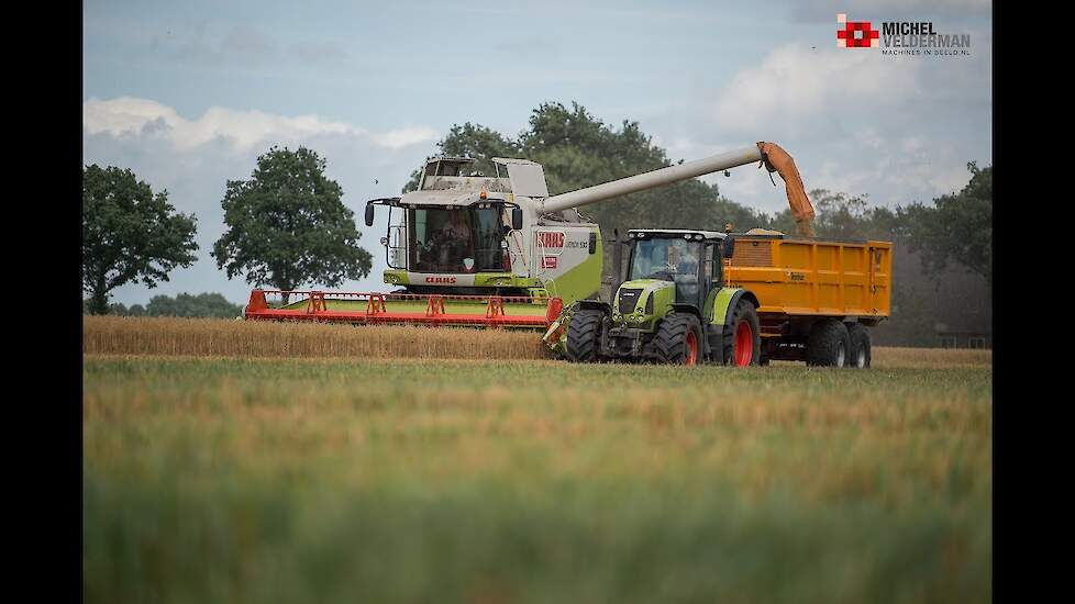 Loonbedrijf Antuma aan het gluten-vrije haver oogsten Trekkerweb