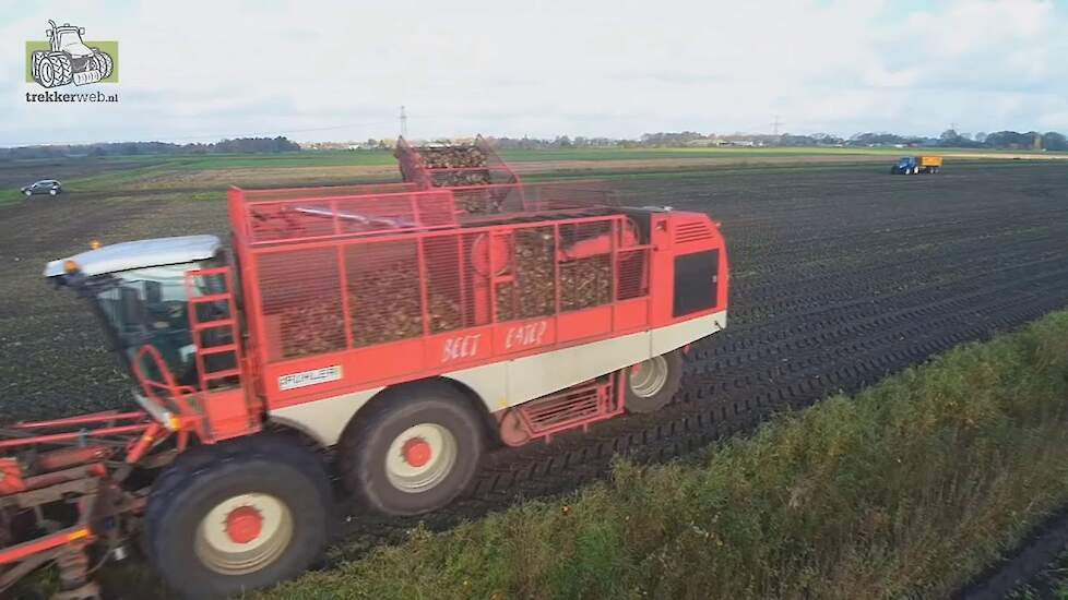 Vervaet Beet Eater 925 9 rijer aan het suikerbieten rooien Trekkerweb