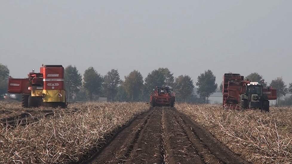 Veel Grimme geweld in het veld 8 rijen tegelijk rooien Trekkerweb