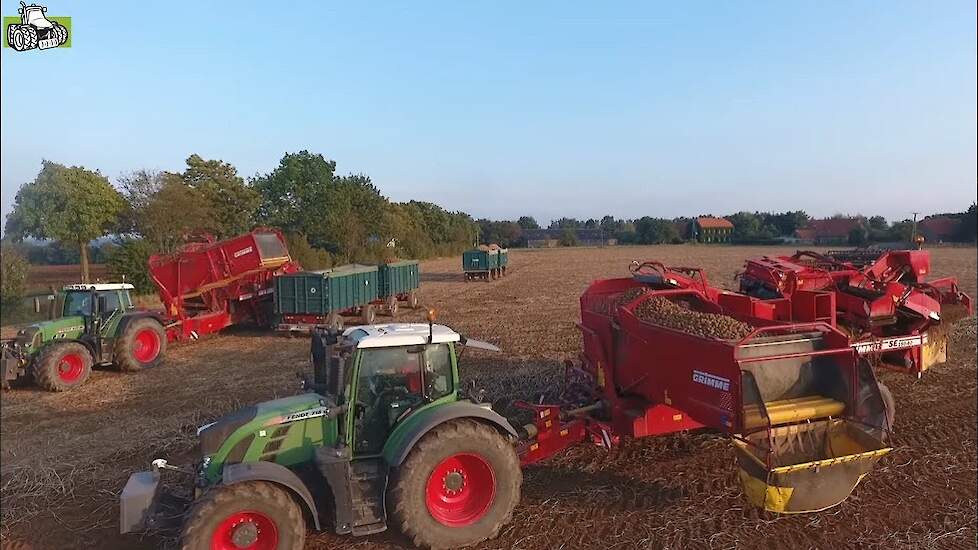 Twee maal Grimme SE 150-60 en Fendt aan het aardappelen rooien Trekkerweb