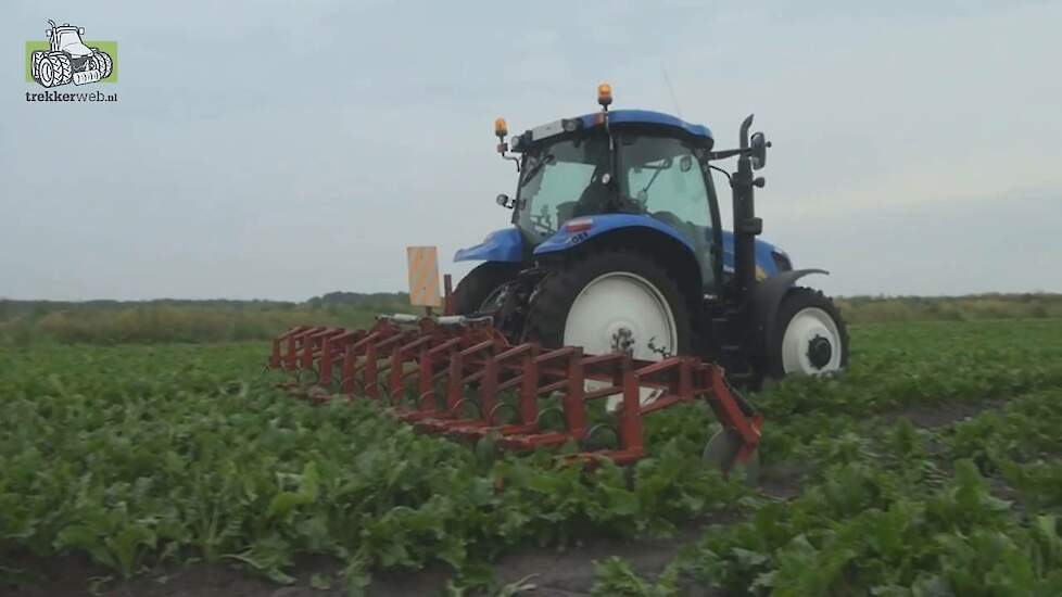 Suikerbieten aanaarden met Kongskilde en New Holland T6010 Trekkerweb