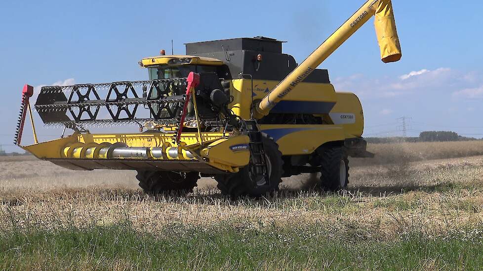 KOOLZAAD OOGST MET EEN NEW HOLLAND CSX 7080 JOHN DEERE 6420