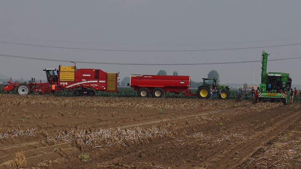 Rooi giganten in actie op aardappel demodag in Westmaas AVR Grimme Dewulf Ploeger