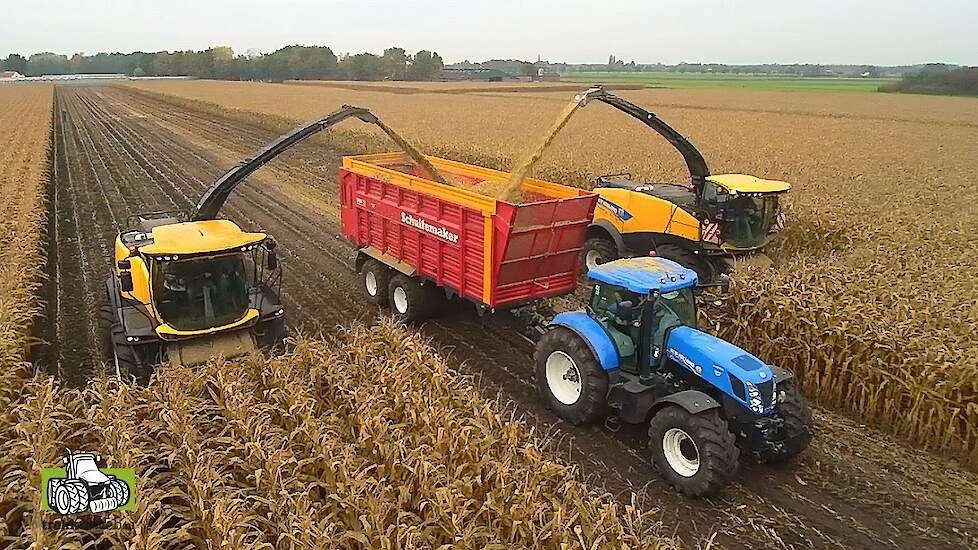 Maïshaksel demonstratie met de nieuwe New Holland FR 650 en FR 550 Forage Cruiser Trekkerweb