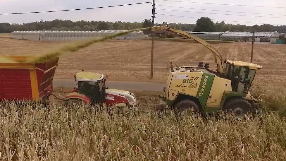 Krone BiG X 650 en Krone TX 460 D in de snijmaïs