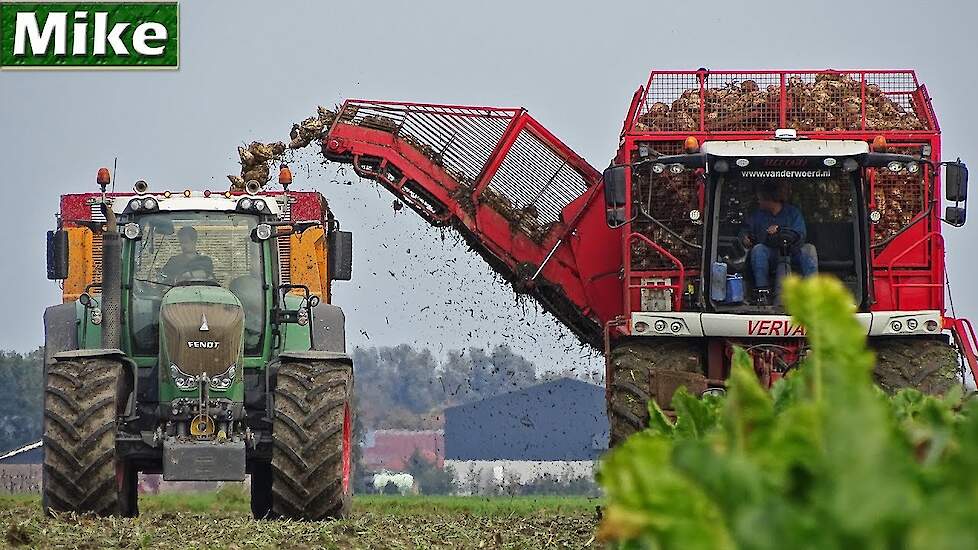 Sugar beet harvest 2018 | Vervaet Beet Eater 625 | Fendt 826 | Van der Woerd | Biddinghuizen | NL.