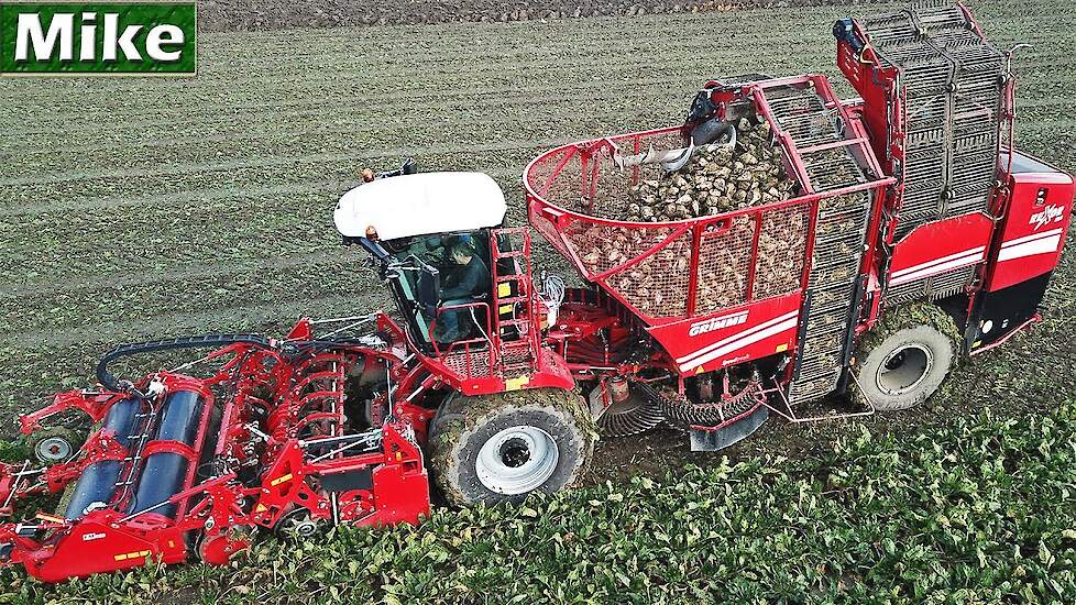 Sugar beet harvest 2018 | Grimme Rexor 620 + Vervaet Beet Eater 925 | Breure | Swifterbant | NL.