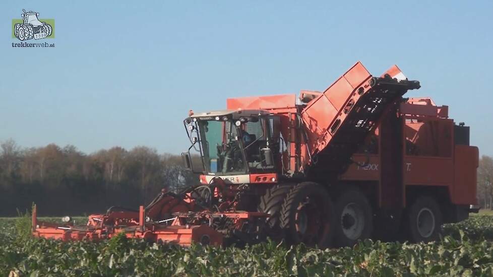 Agrifac machines aan het suikerbietenrooien