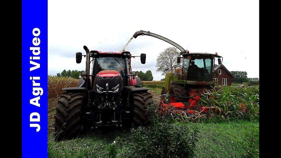 Maishakselen | Case Optum 270 + Steyr | Claas Jaguar 950 | Rovers Boekel | Maishäckseln | Maize