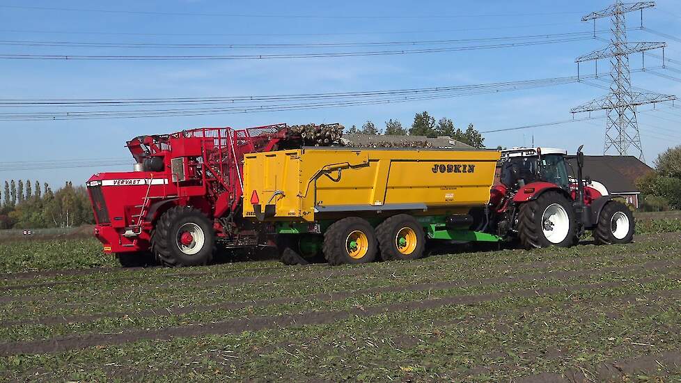 SUIKERBIETEN ROOIEN MET EEN VERVAET STEYR CVT 6185