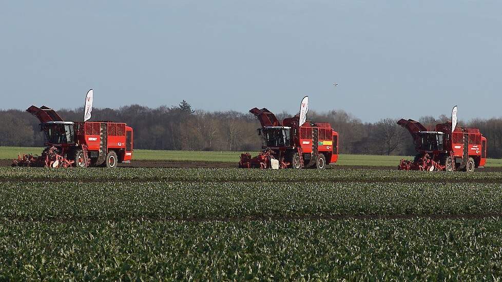 18 row Sugar Beet Harvest with Vervaet Q serie 621 and 616 Trekkerweb