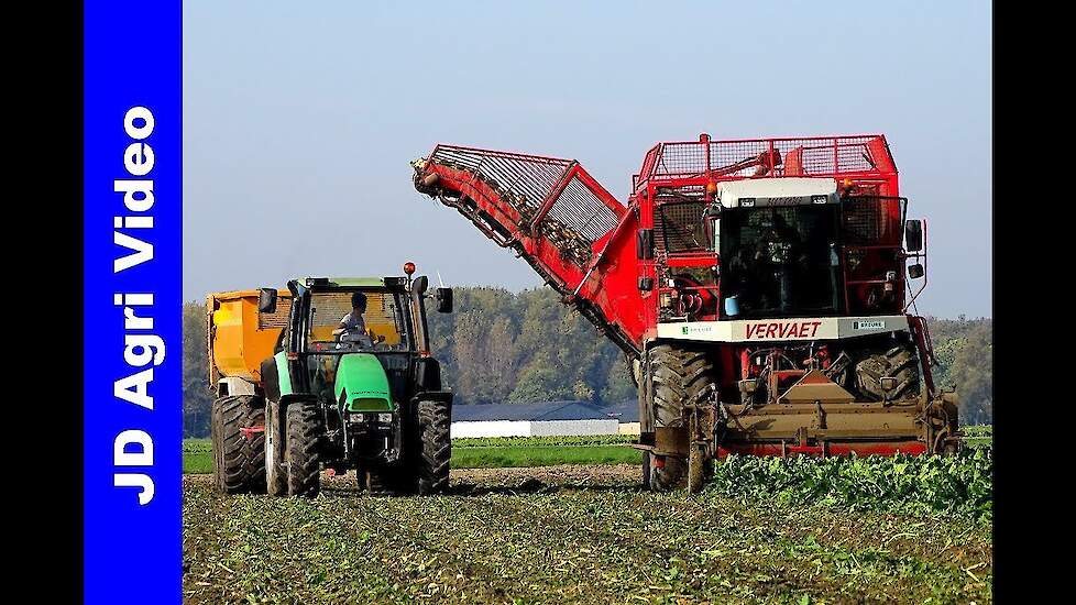 Bieten Oogst | Vervaet Beet Eater 625 | Breure Swifterband | Rübenernte | Beet Harvest | Fendt