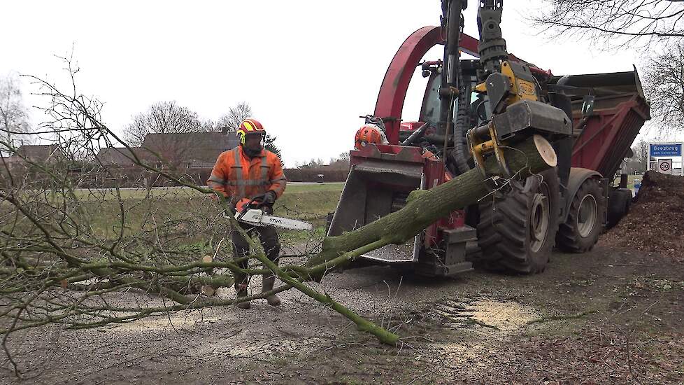 BOOM KAPPEN EN VERSNIPPEREN MET EEN VALTRA T 234 EN EEN VLTRA VALMET 805 C