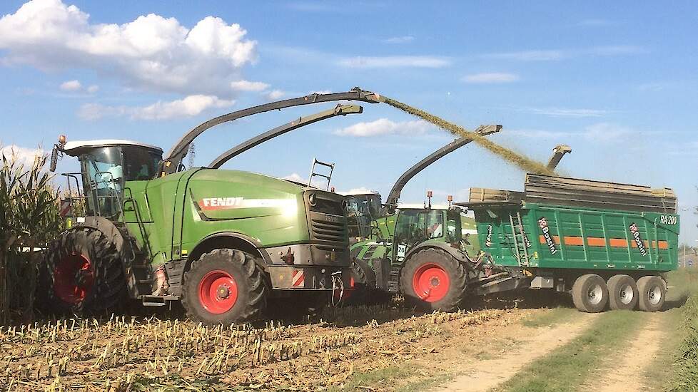 4 Fendt Katana en Fendt 1050 silage in Italië maïsoogst 2017 Trekkerweb