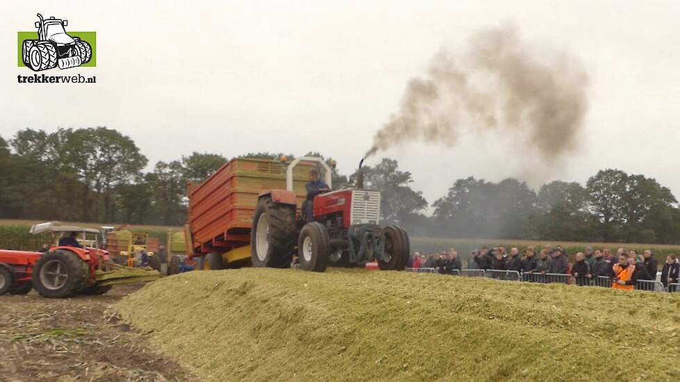 Oldtimer hakseldag Dalen 2019 mega spektakel corn chopping