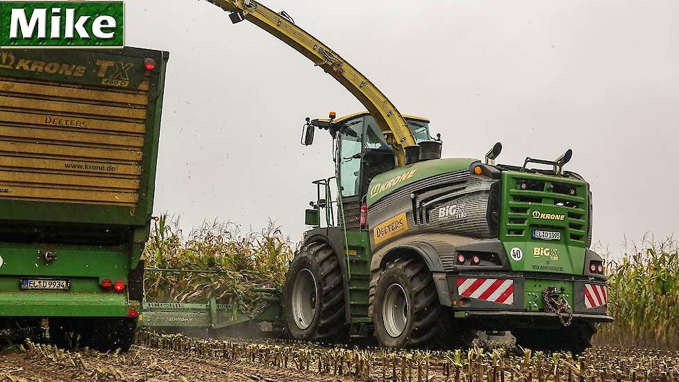 2019 | Mais häckseln mit NEW Krone BiG X 1180, 12 Rows | Biggest Harvester in the World.