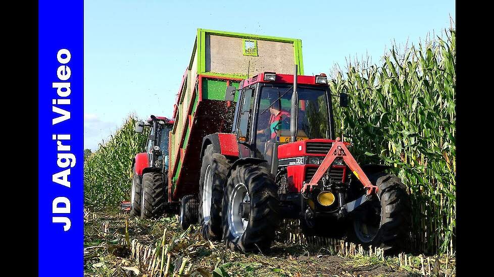 Maishakselen 2019 | Case International 1056Xl + Maxxum 125 | Busweiler Nunspeet | Harvesting maize