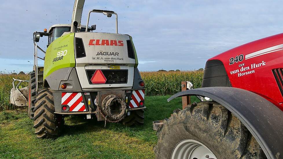 Mais 2019 - Claas Jaguar + 4x Case - Van den Hurk - Maize - Zbiór kukurydzy - Ensilage - Insilato