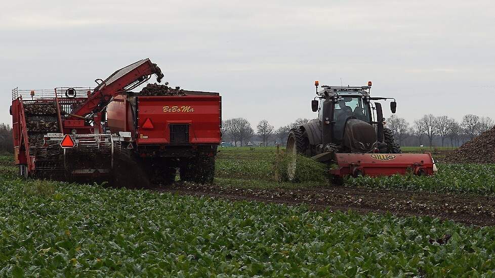 In twee fasen suikerbieten rooien en laden met Gilles Trekkerweb