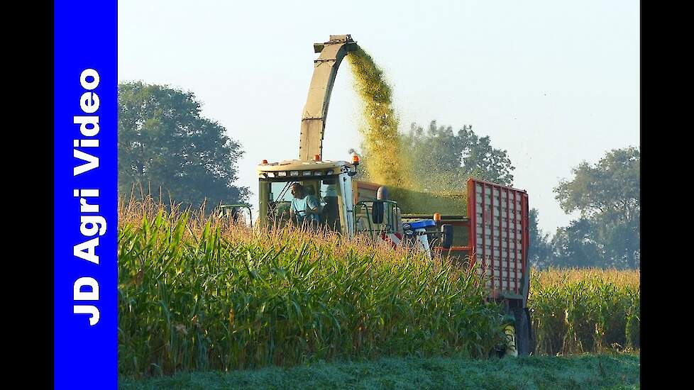 Maishakselen 2019 | Krone BigX V8 + New Holland | Eesmann Agrar Ohne | Maishäckseln | Maize harvest