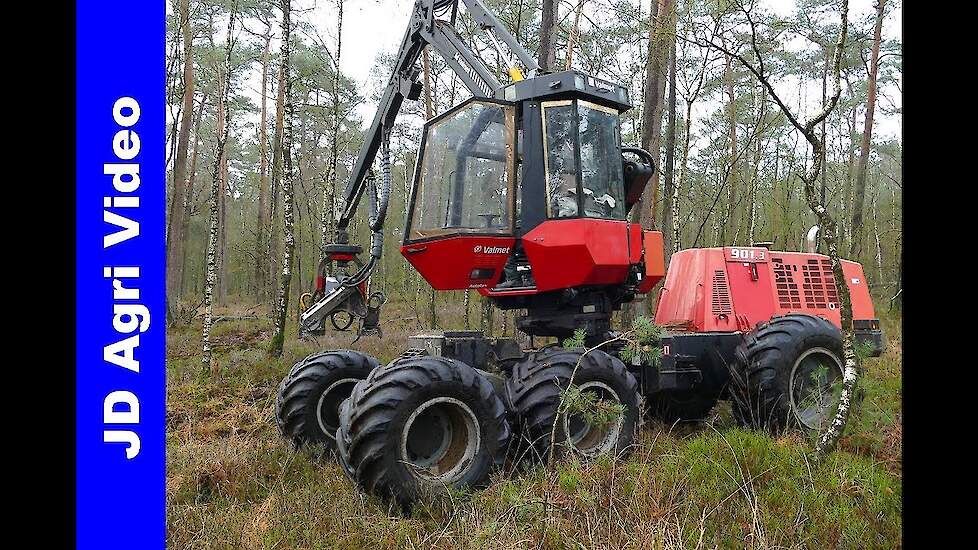 Valmet 901.3 | Bosbouw | Forestry | Forstwirtschaft | Elspeet | Veluwe | 2019 | NL