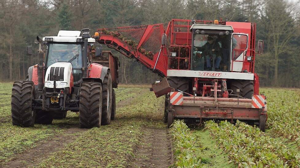 Voederbietenoogst met de Vervaet in februari