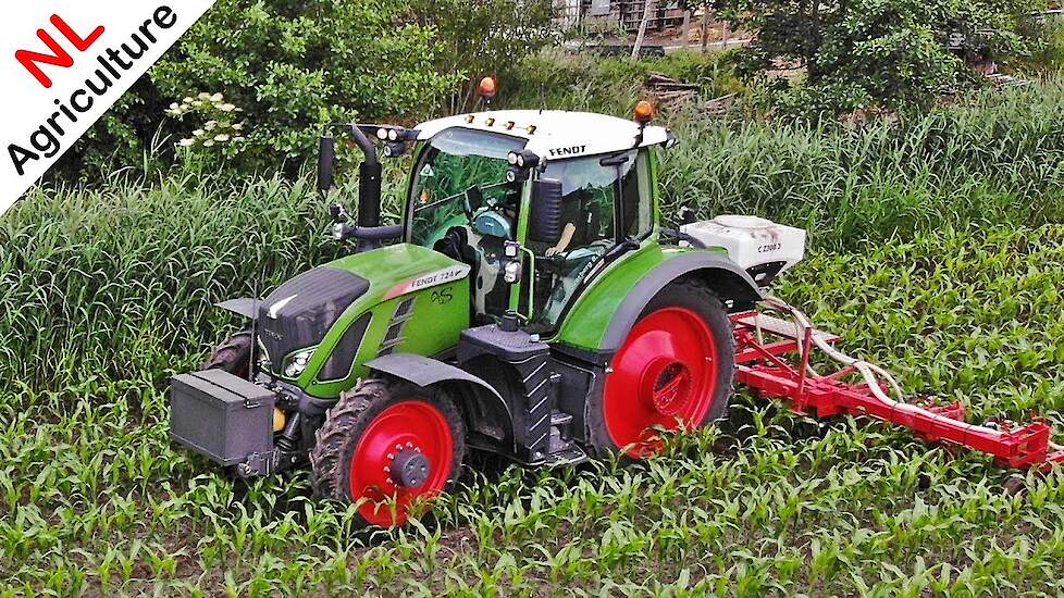 Mais schoffelen & Vanggewas onderzaaien 2020 ● Fendt 724 Vario ● Schimmel Overberg.