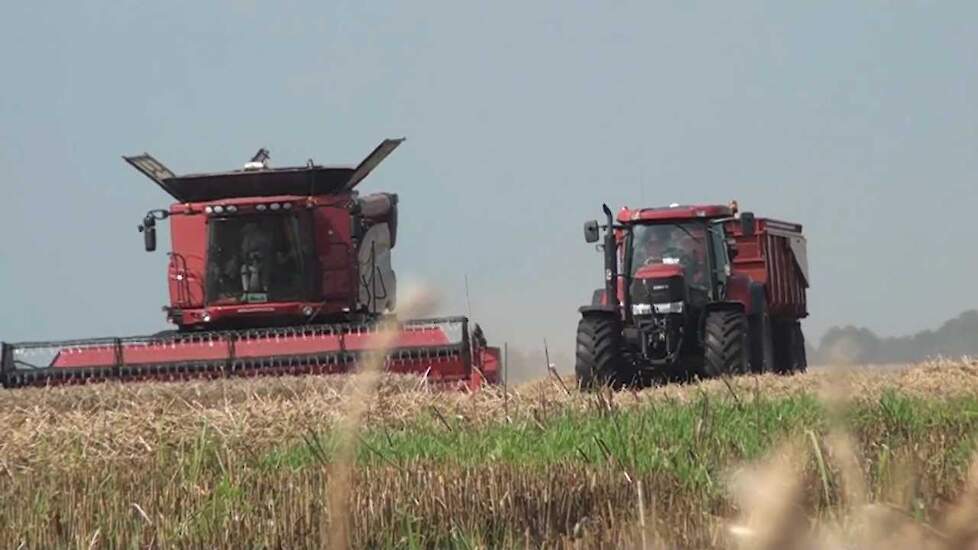 Case-IH 8120 AFS Axial Flow - Trekkerweb.nl